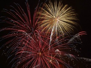 https://pixabay.com/en/fireworks-spectacle-colorful-572621/