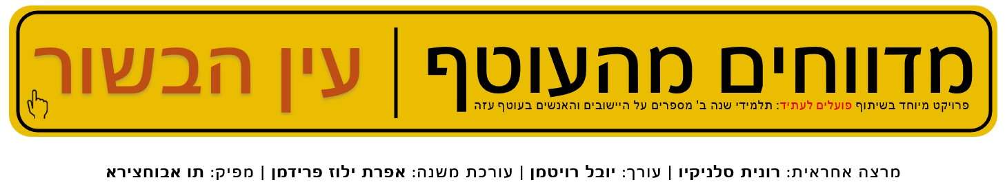 עין הבשור