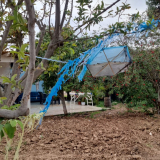 עפיפון שנחת בקיבוץ. צילום: באדיבות דוברות נחל עוז