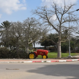 קיבוץ נירים. צילום: דוד לב